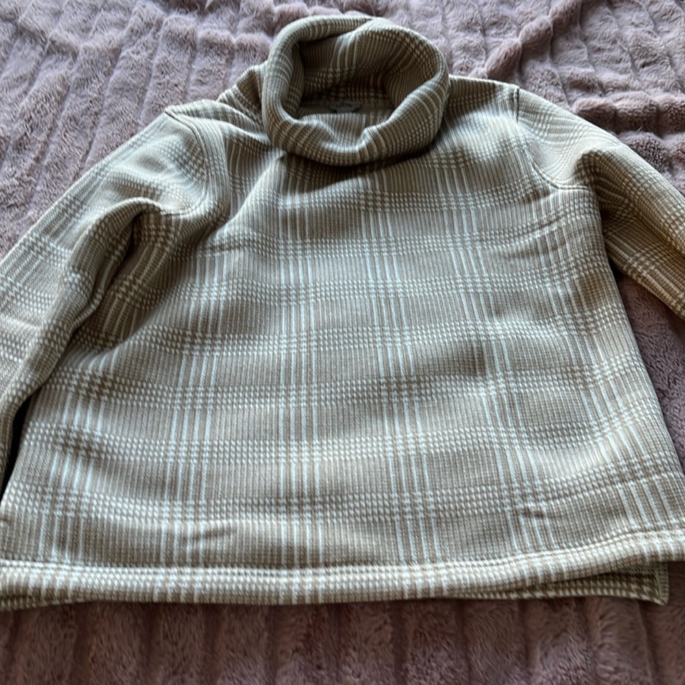 Turtle / cowl neck tunic from J. Crew